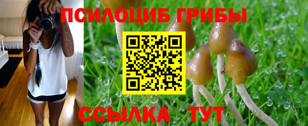 Галлюциногенные грибы Magic Shrooms Баксан