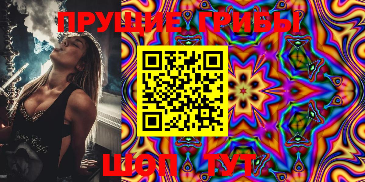Галлюциногенные грибы Psilocybine cubensis  Вход с VPN  Псилоцибиновые грибы Psilocybe  Баксан 